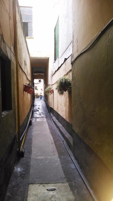 مدينة مكسيكو Hospedaje La Colonial المظهر الخارجي الصورة